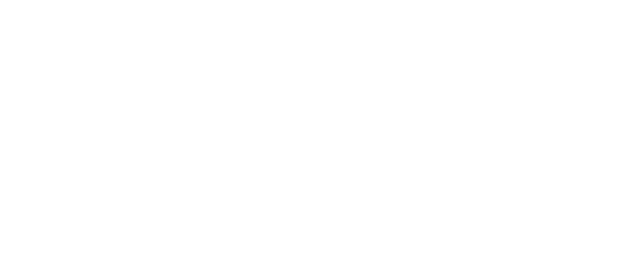 TTarga